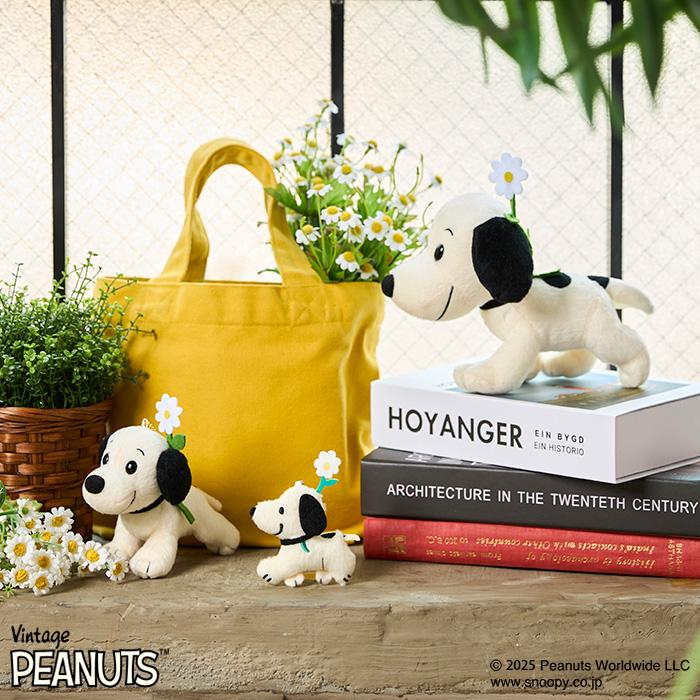 Snoopy|Peanuts 75th anniversary First Mascot Holder /Plush Keychain| H70 x W65 x D20mm approx.