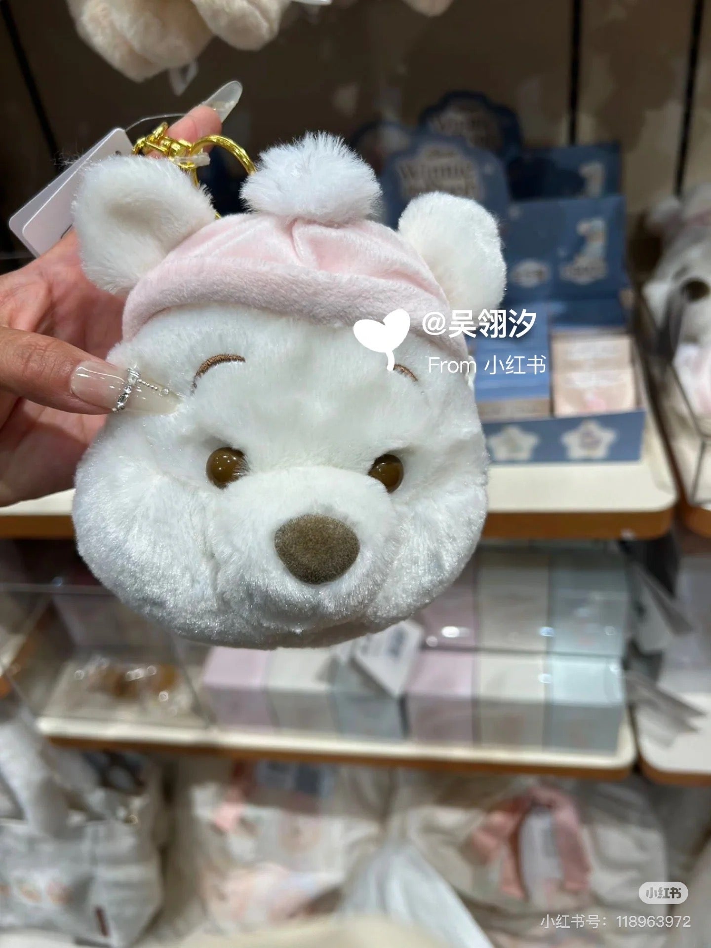Disney迪士尼|Winnie the Pooh Pass Case Fruit Latte Color White Pooh东迪冬日限定水果拿铁色睡衣睡帽斗篷系列噗噗维尼脸型毛茸茸可伸缩卡包/收纳包/零钱包|约H14.5×W12×D9cm
