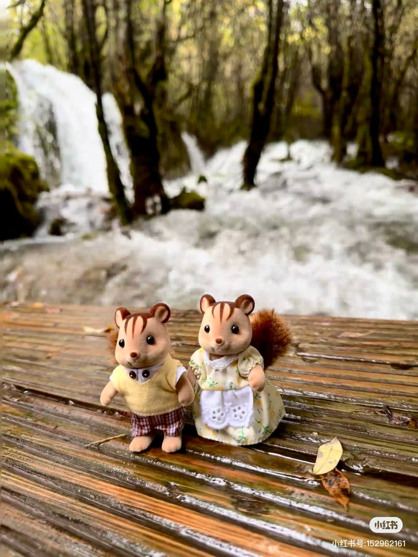 SylvanianFamilies|Walnut Squirrel Girl Doll
