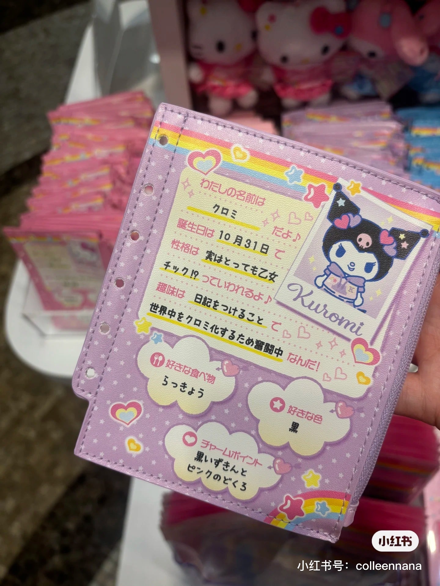 Sanrio|Nostalgic Profile Book Mini Pouch |12×0.8×14cm approx.