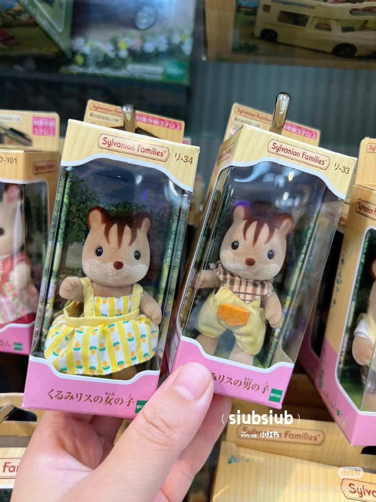 SylvanianFamilies|Walnut Squirrel Boy Doll