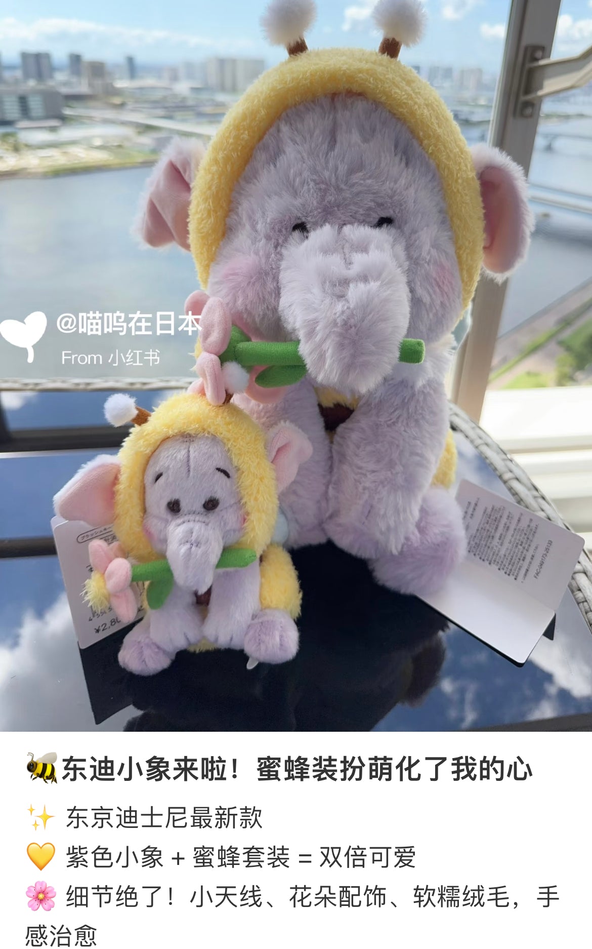 Disney|Flower Garden Plush Dolls/Plush Toy|H32×W18×D20cm approx.