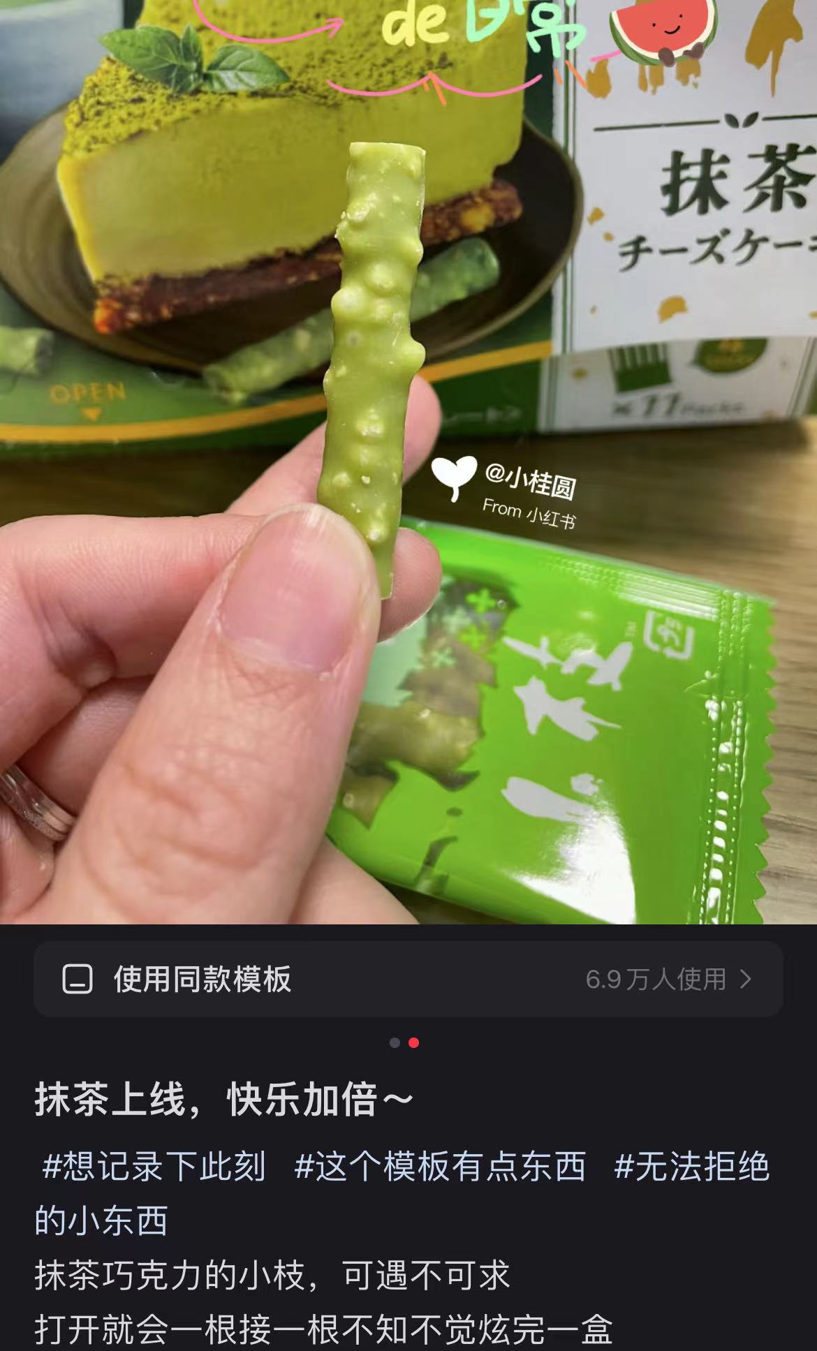 Morinaga森永|小枝限定抹茶巧克力饼干棒/微苦/浓郁抹茶60g【24.12】