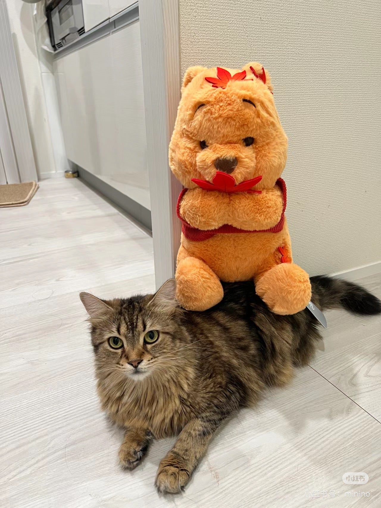 Disney|Winnie the pooh日本限定枫叶噗噗毛绒公仔/玩偶|高さ33×幅19×奥行き21(cm)