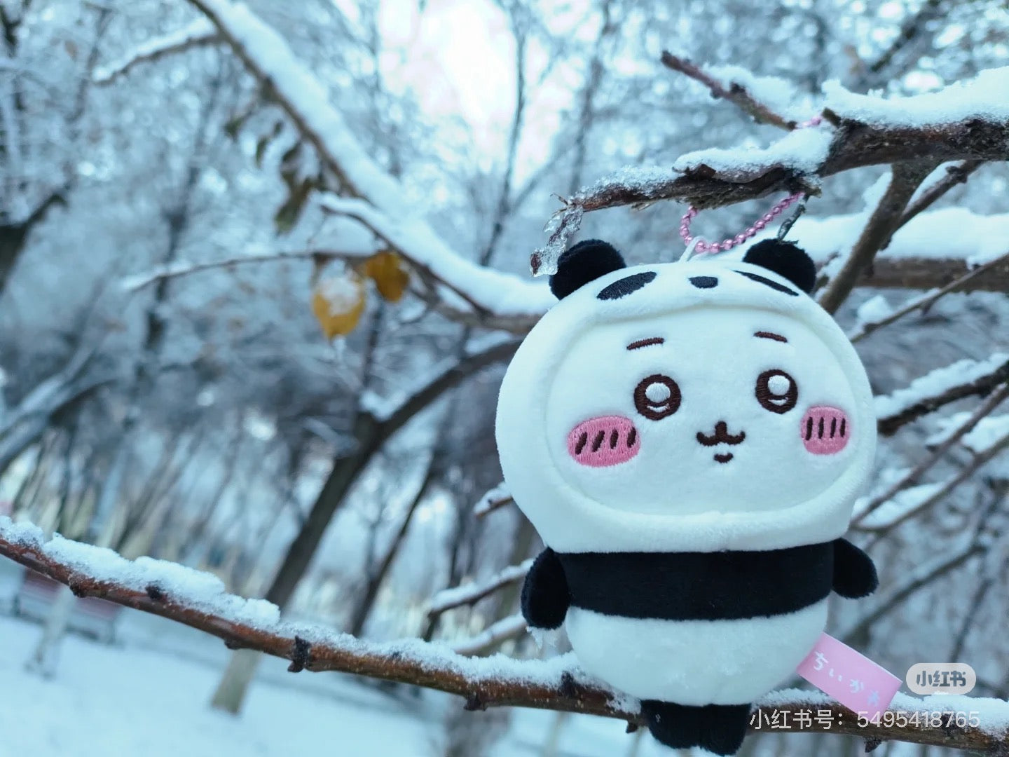 Chiikawa 吉伊卡哇|Panda Plush Toy熊猫毛绒玩偶摆件/公仔|约 H230 x W190 x D105mm