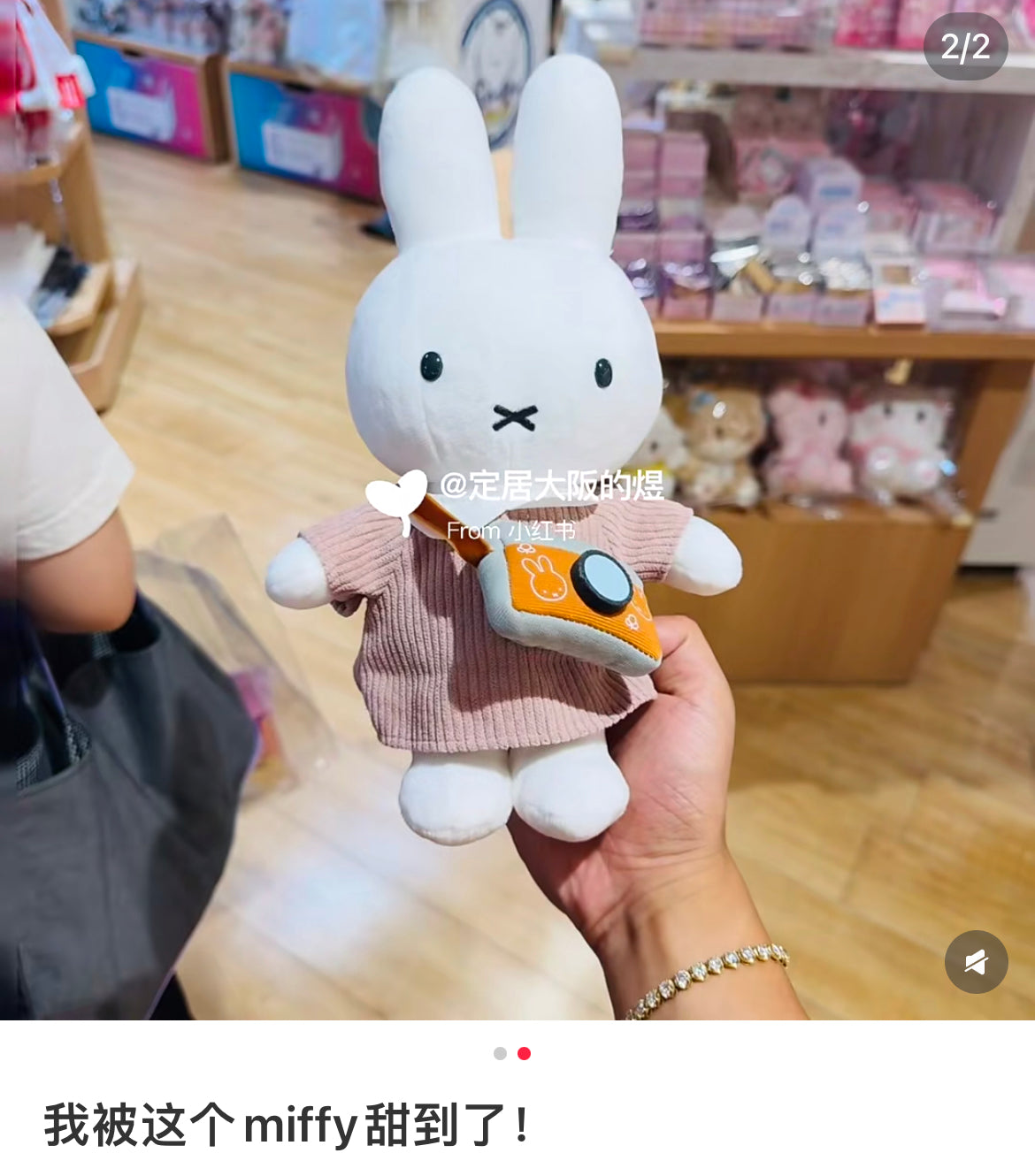 Miffy|Camera Plush Dolls/Plush Toy|W18 x H29 x D10 (cm) approx.