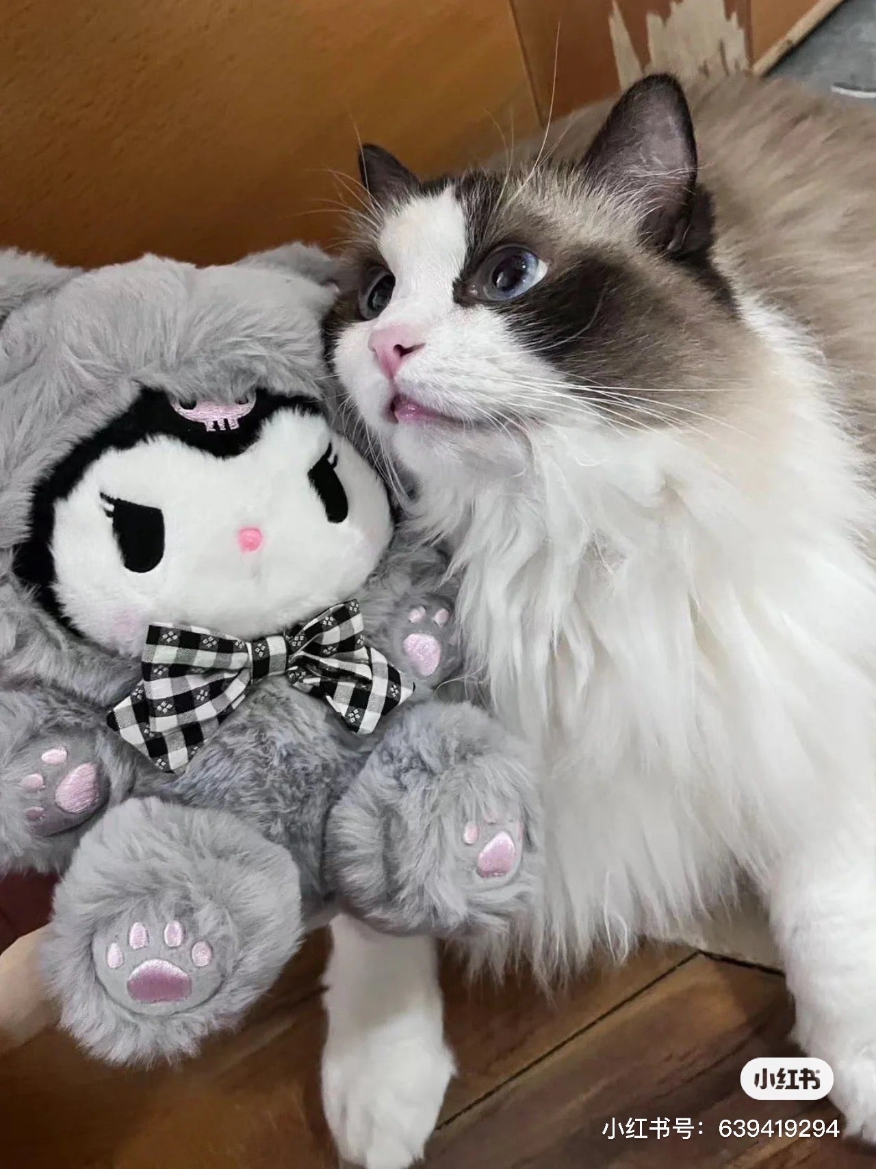 Sanrio|2024奶fufu的限定肉球猫咪系列玩偶/公仔/肉垫垫/粉爪爪/如拿铁系列一样好摸|约17 x 17 x 9cm