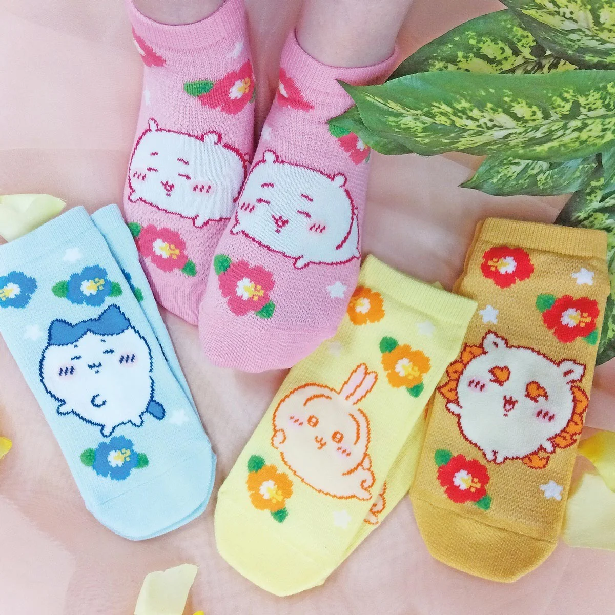 chiikawa|Mesh Sneaker Socks|23-25cm