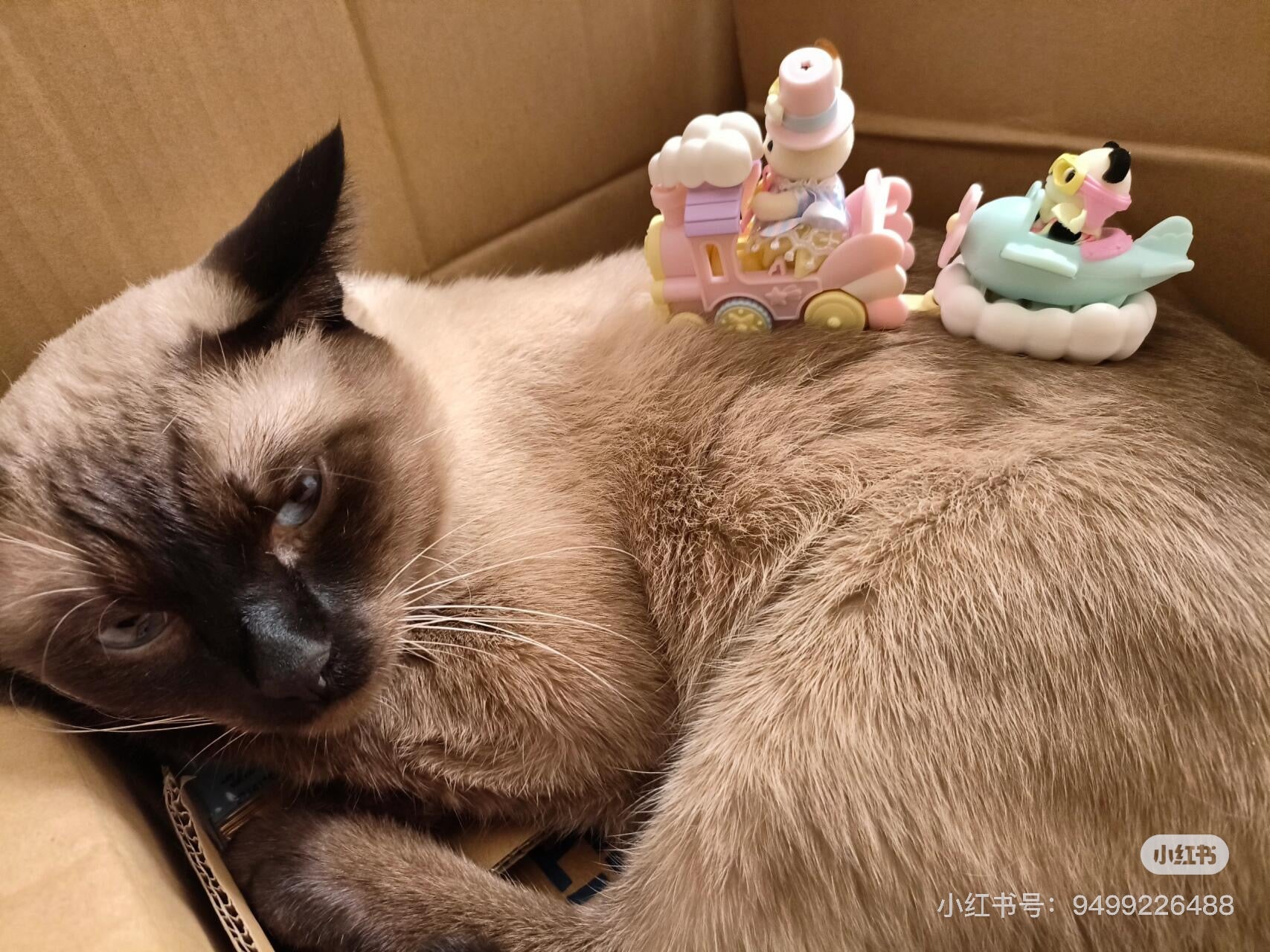 SylvanianFamilies|Amusement Park Vehicle Set -Train and Airplane