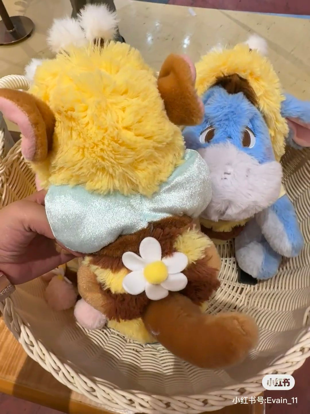 Disney| 2024 HONEY DAY蜜蜂系列公仔/玩偶|S约高さ22×幅15.5×奥行き11cm