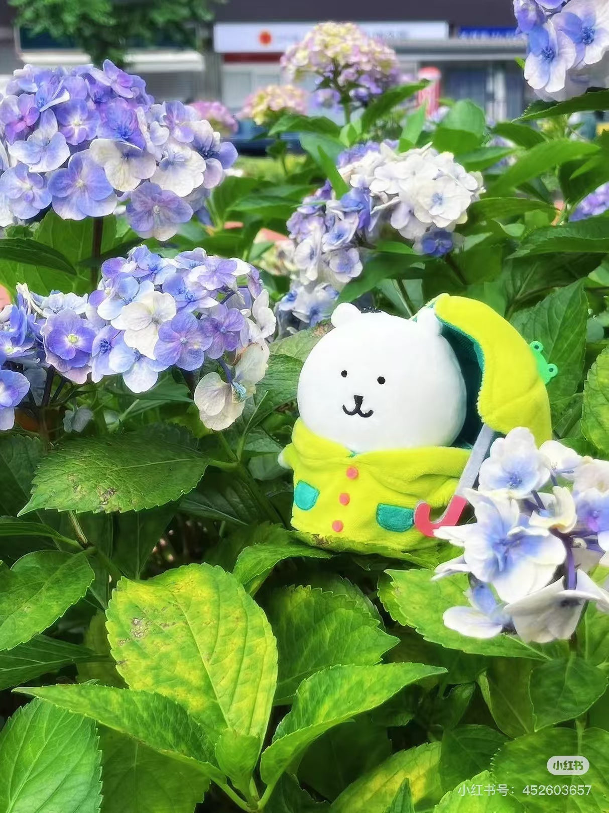 【limit 1】Nagano|Characters Rainy Day Mascot Holder /Plush Keychain|H135×W130×D80mm approx.