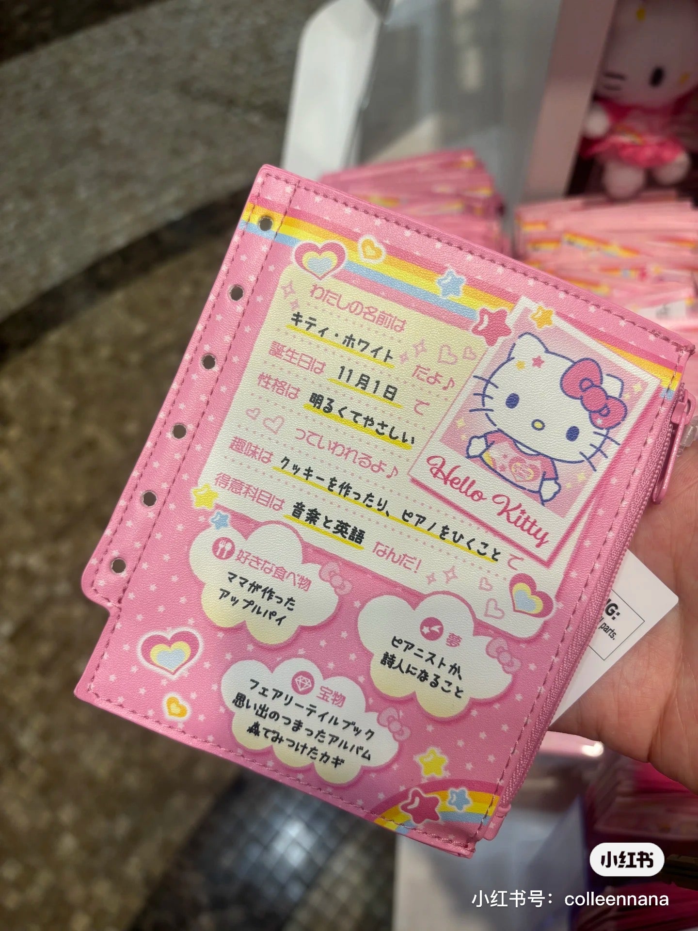 Sanrio|Nostalgic Profile Book Mini Pouch |12×0.8×14cm approx.