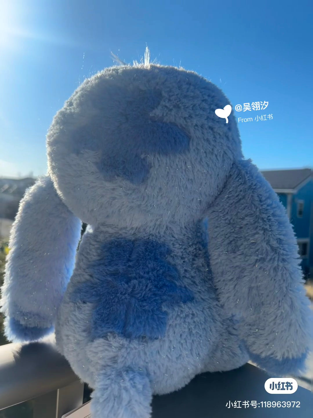 Disney|Winter Shiny Color Pink Blue Plush Dolls/Plush Toy|30×27×22.5cm approx.