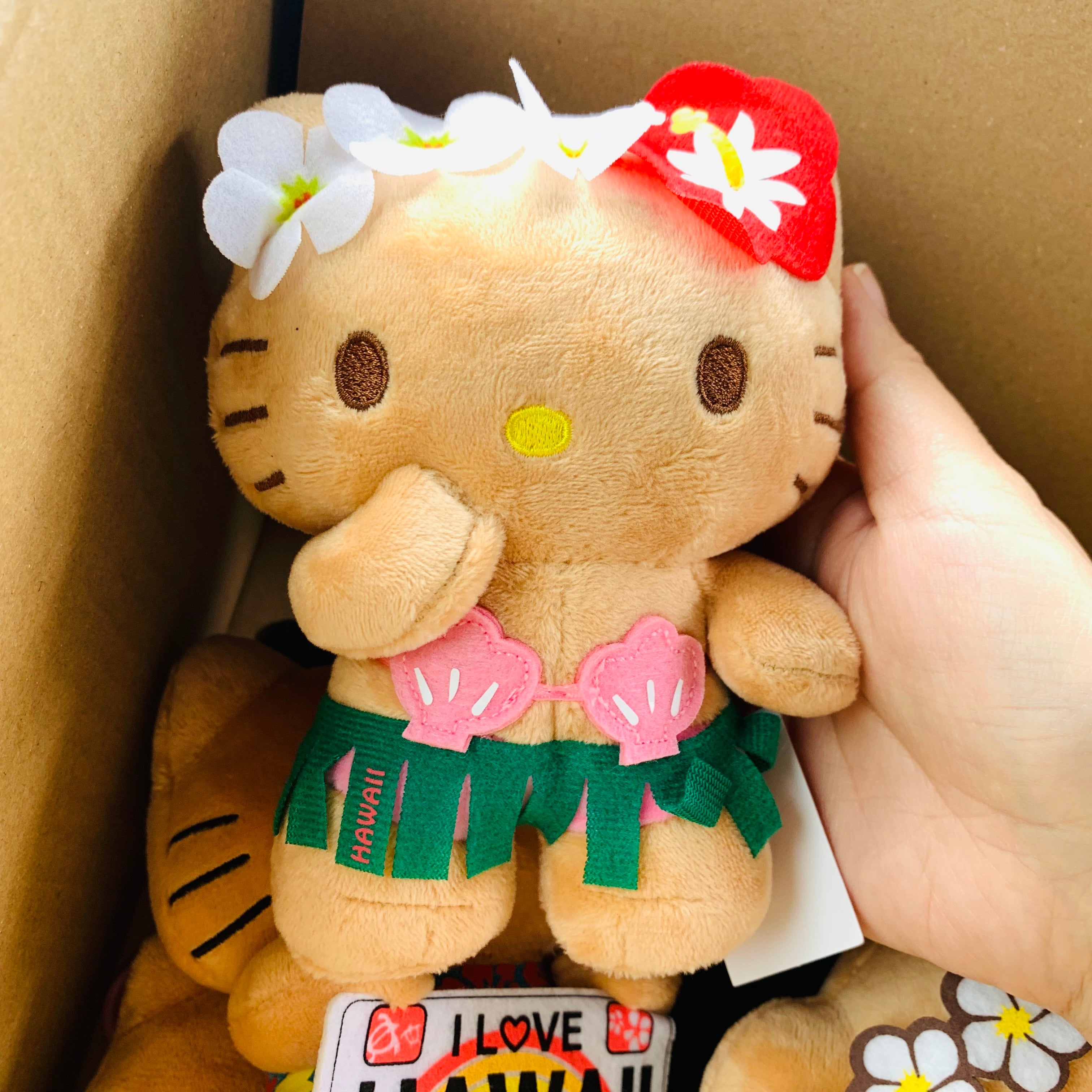 HelloKitty凯蒂猫|HAWAII夏威夷黑皮kitty限定玩偶/公仔