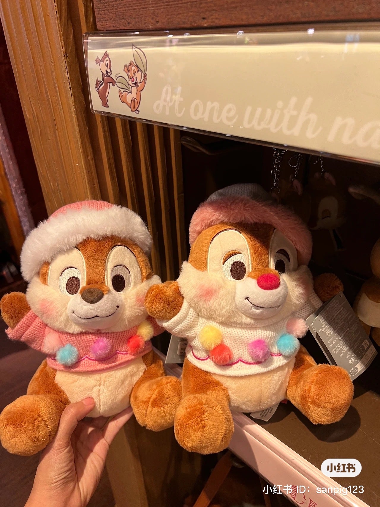 Disney HK|冬日奇奇蒂蒂系列挂件