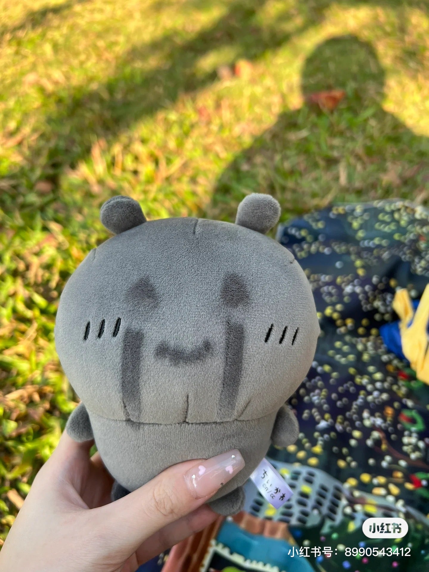 Chiikawa 吉伊卡哇|古本前身灰色之子公仔/玩偶|约H150×W120×D90mm