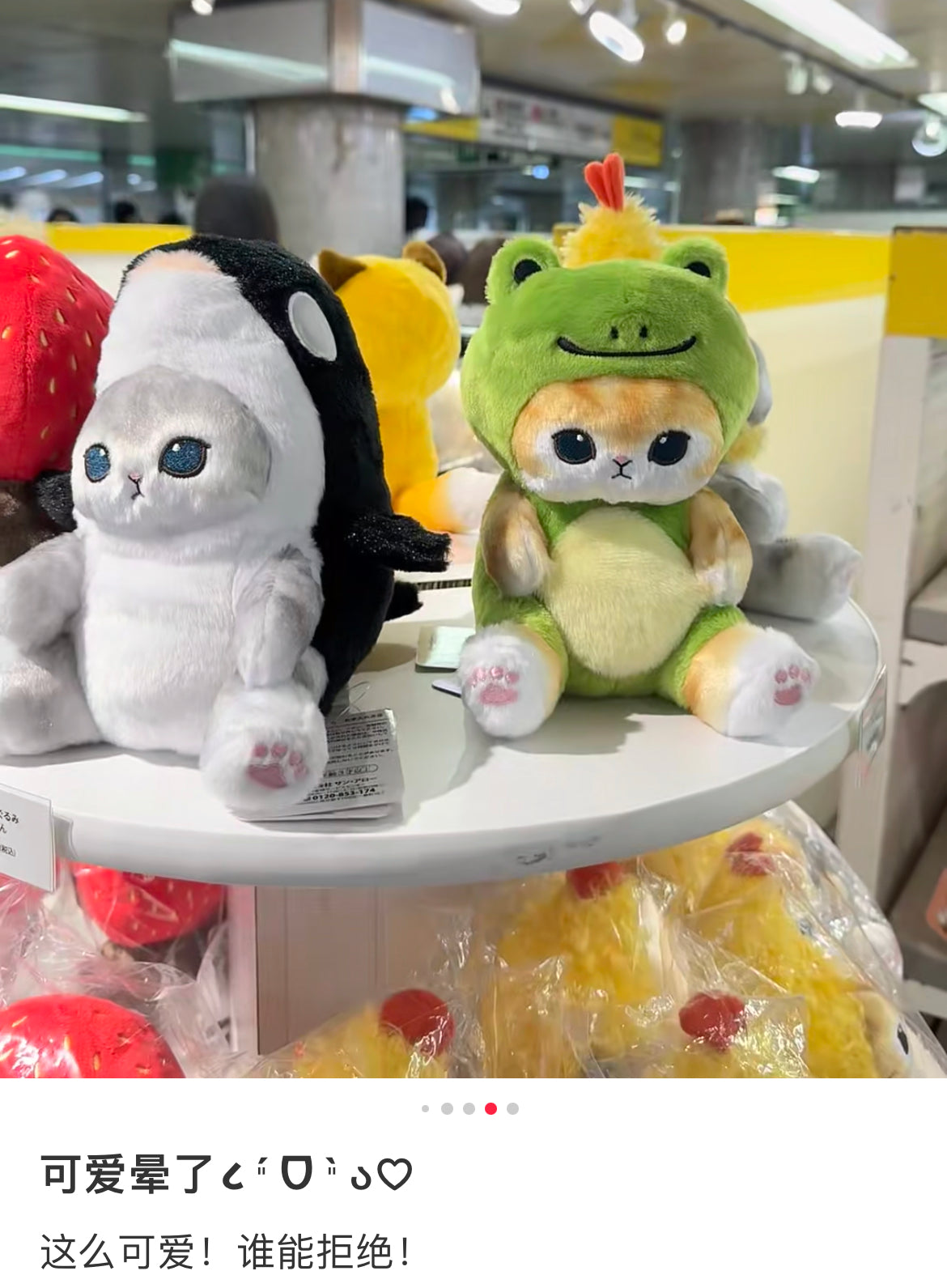 Mofusand|Chubby Potetama Plush Toy - Frog Cat : Kaeru Nyan Beige | 200×130×130mm approx.