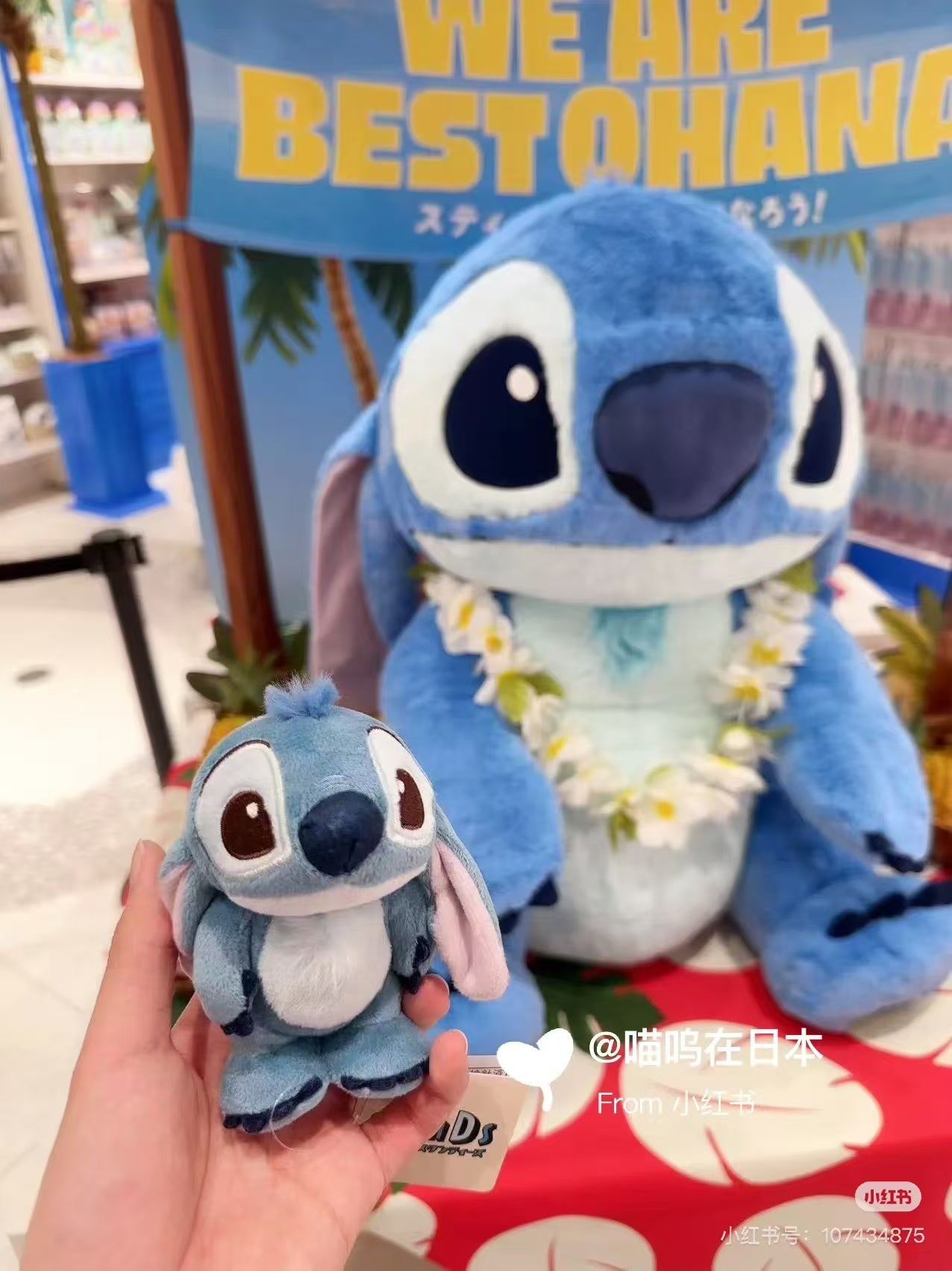 Disney|StanDs Lilo & Stitch Plush Dolls/Plush Toy| 11.5×14.5×7cm approx.