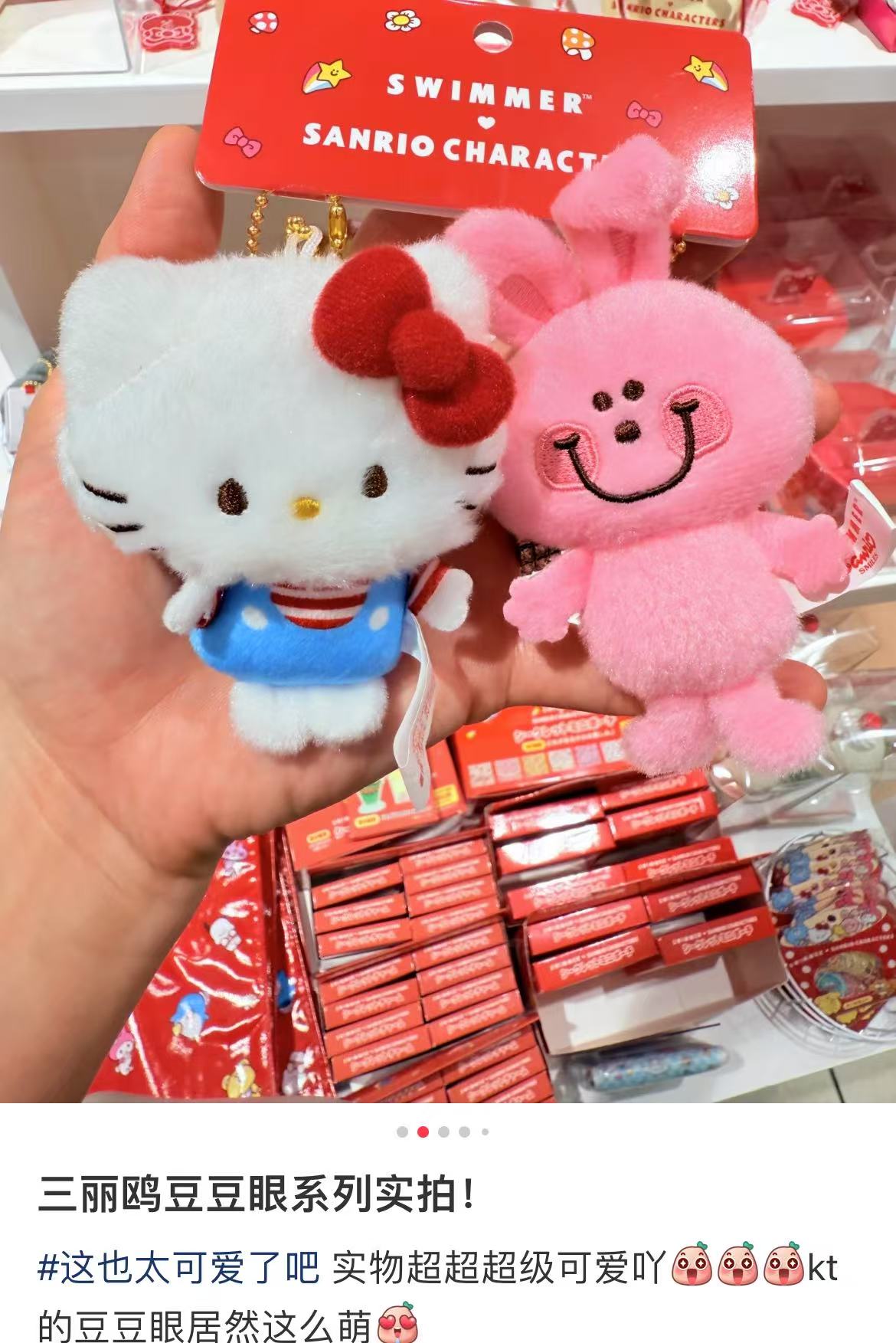 Sanrio|swimmer (2nd Edition) Mascot Holder /Plush Keychain|W6×D3.5×H11cm approx.