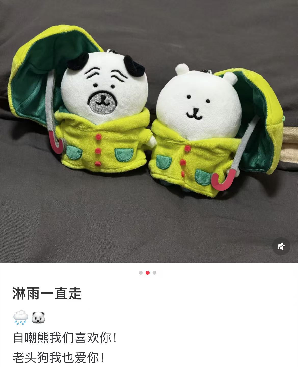 【limit 1】Nagano|Characters Rainy Day Mascot Holder /Plush Keychain|H135×W130×D80mm approx.