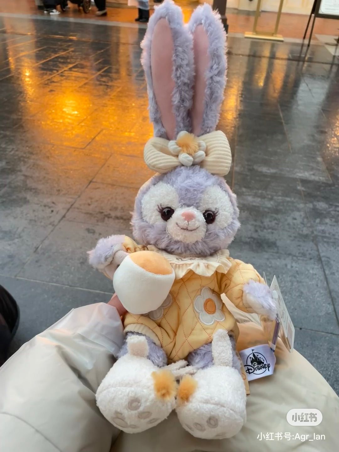 Disney SH|懒懒在一起系列公仔/玩偶|ss号