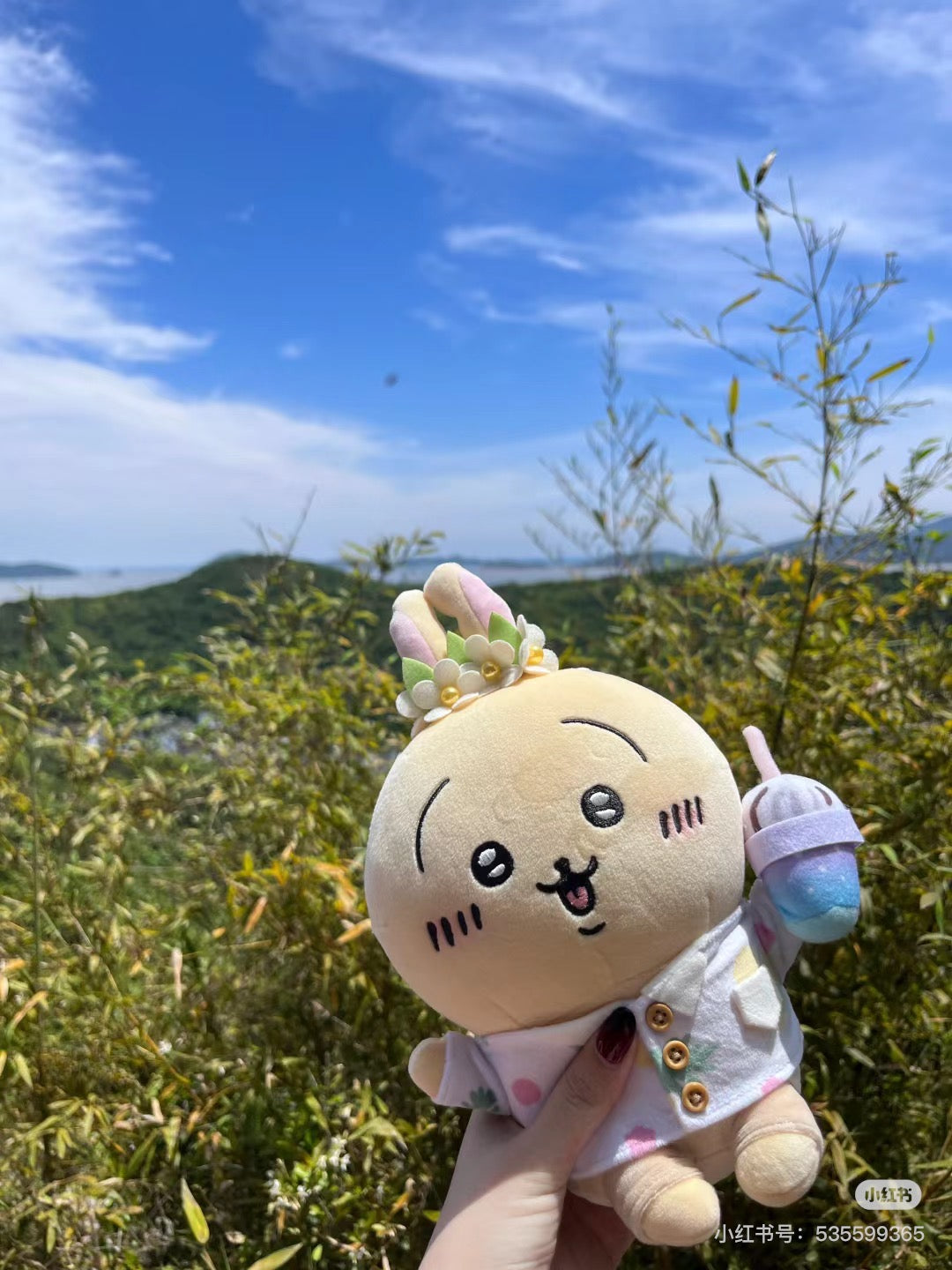 Chiikawa 吉伊卡哇|观光旅行系列公仔/玩偶|约H260 x W160 x D110mm