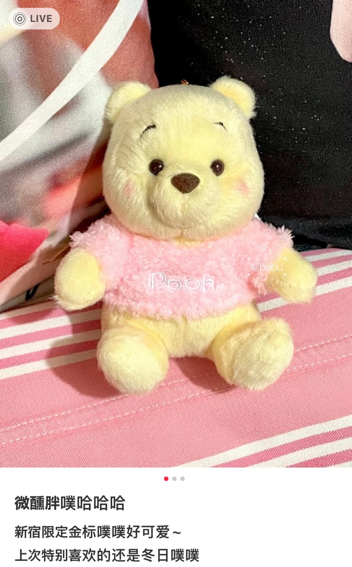 Disney|东京新宿限定金标维尼/腮红噗噗挂件/微醺胖噗/圆溜溜眼睛/圆圆胖脸蛋