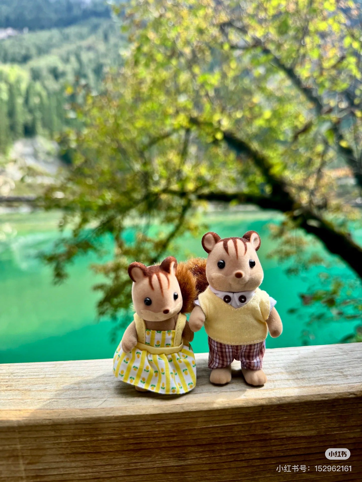 SylvanianFamilies|Walnut Squirrel Girl Doll
