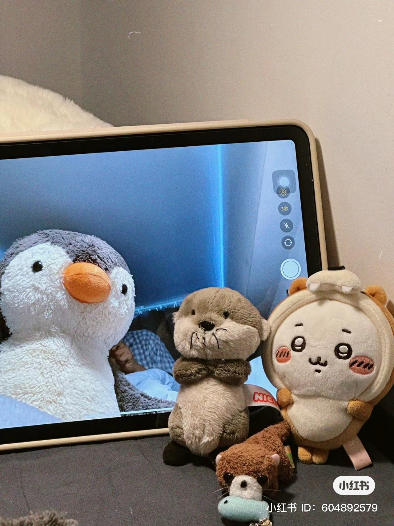 Chiikawa 吉伊卡哇|水族馆系列限定挂件