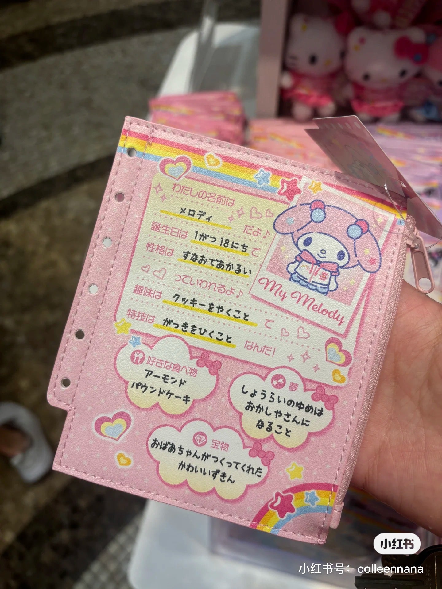 Sanrio|Nostalgic Profile Book Mini Pouch |12×0.8×14cm approx.