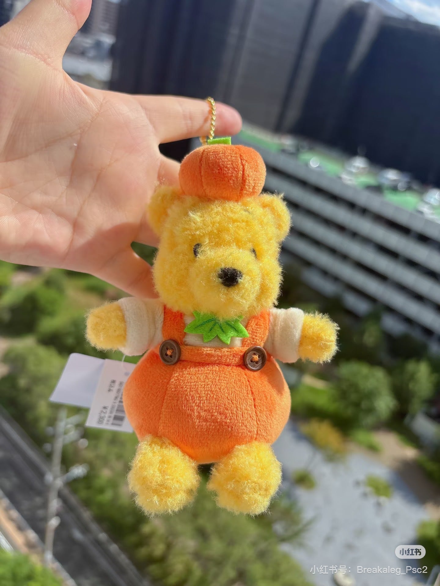 Disney|halloween pumpkin Winnie the Pooh Mascot Holder /Plush Keychain