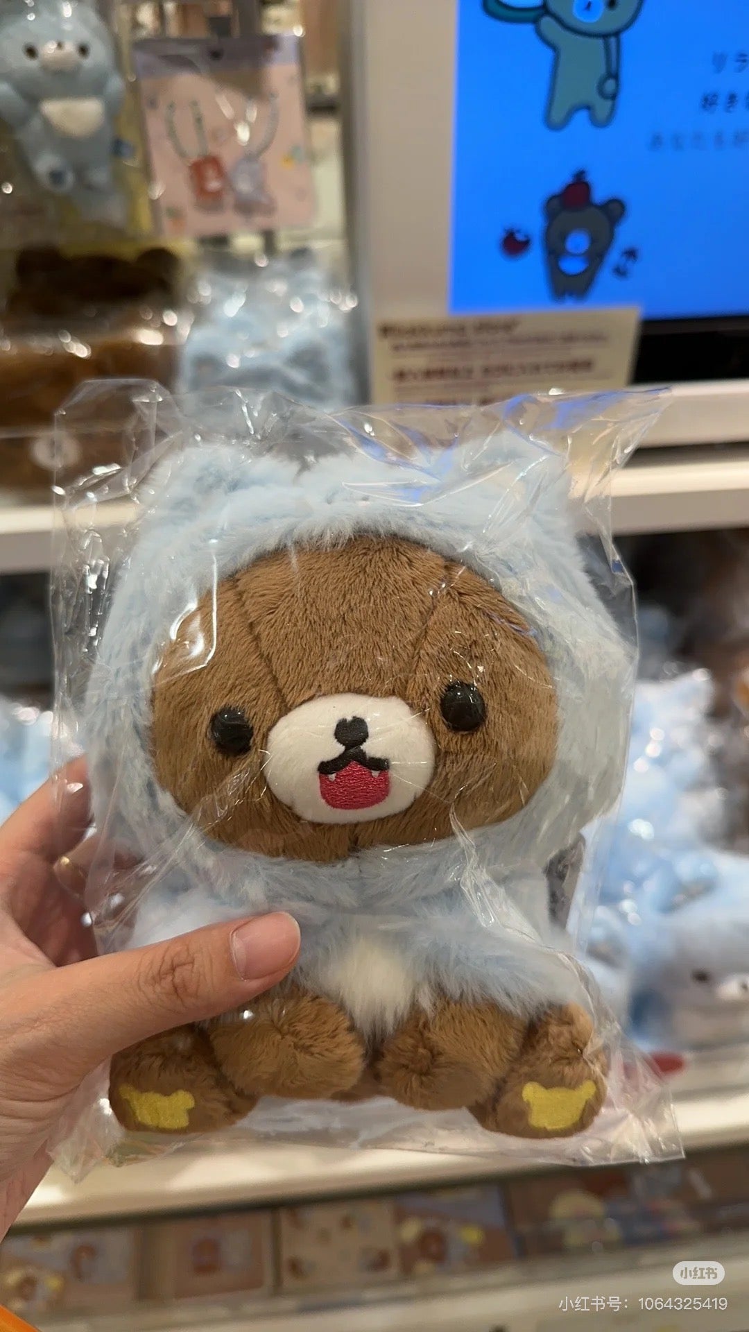 Rilakkuma轻松熊|AoKogu no Otomari - Plush Toy San-X新角色毛绒玩偶/公仔|约180×130×100mm