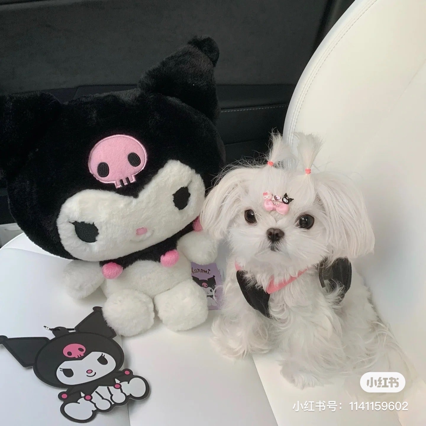 Sanrio|经典系列玩偶/公仔|约22 x 28.5 x 15 cm