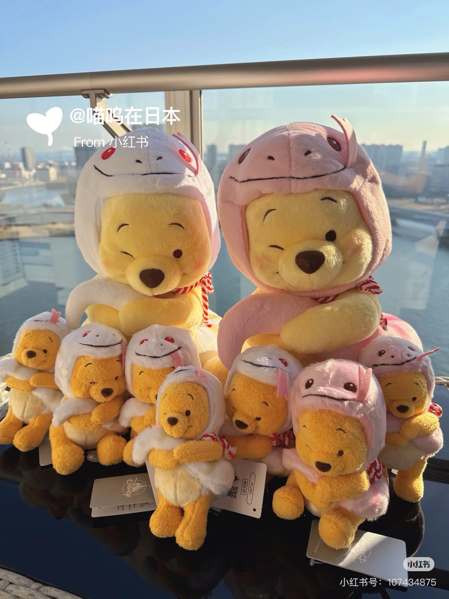 Disney迪士尼|东迪2025蛇年限定pooh噗噗维尼玩偶M号公仔|約高さ36×幅26×奥行き26(cm)