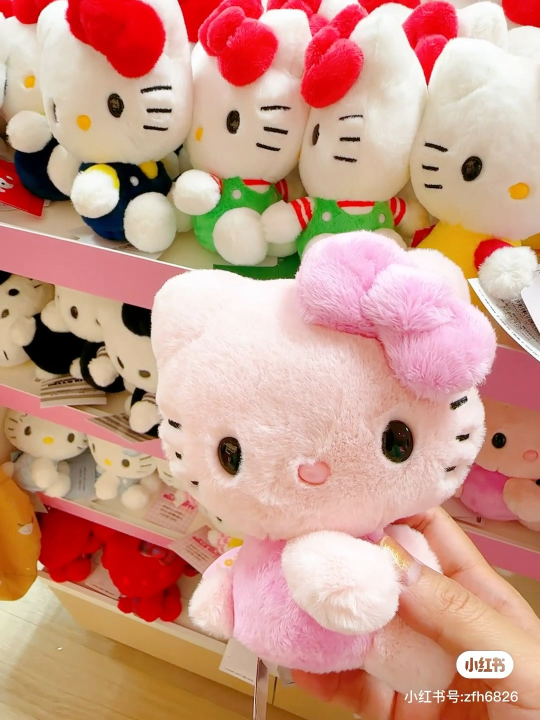 HelloKitty凯蒂猫|Sanrio Hello Kitty 50th Anniversary50周年限定缤纷24色colors毛绒玩偶/公仔 |约12.5 x 9.8 x 15 cm