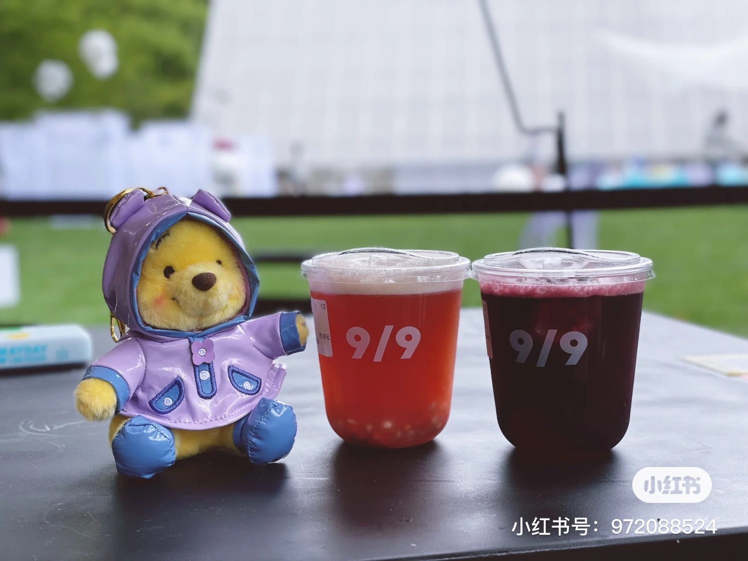 Disney迪士尼|雨衣系列挂件/帽帽可脱|高約 24cm