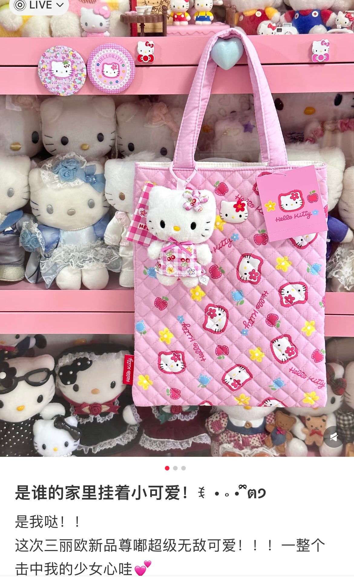 Sanrio|Everyone&
