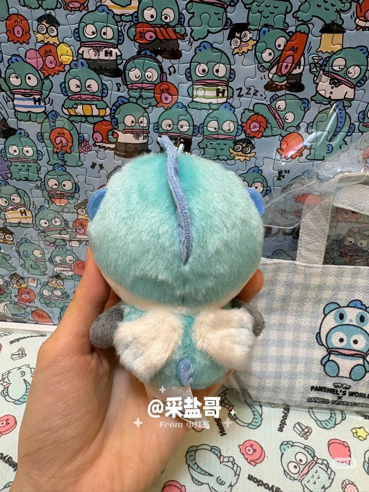 Sanrio|Panshell Characters Mascot Holder /Plush Keychain|H100×W75×D65mm approx.
