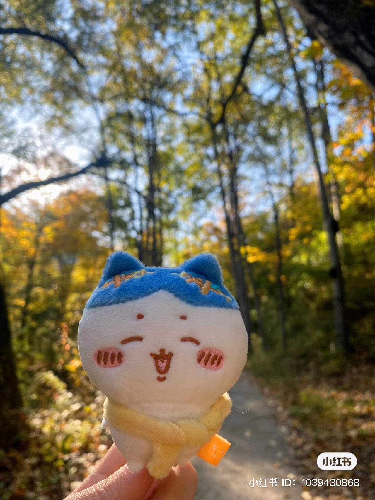 Chiikawa 吉伊卡哇|金木犀桂花系列限定公仔笔/可改造成小公仔/笔身变身小围巾|0.7mm