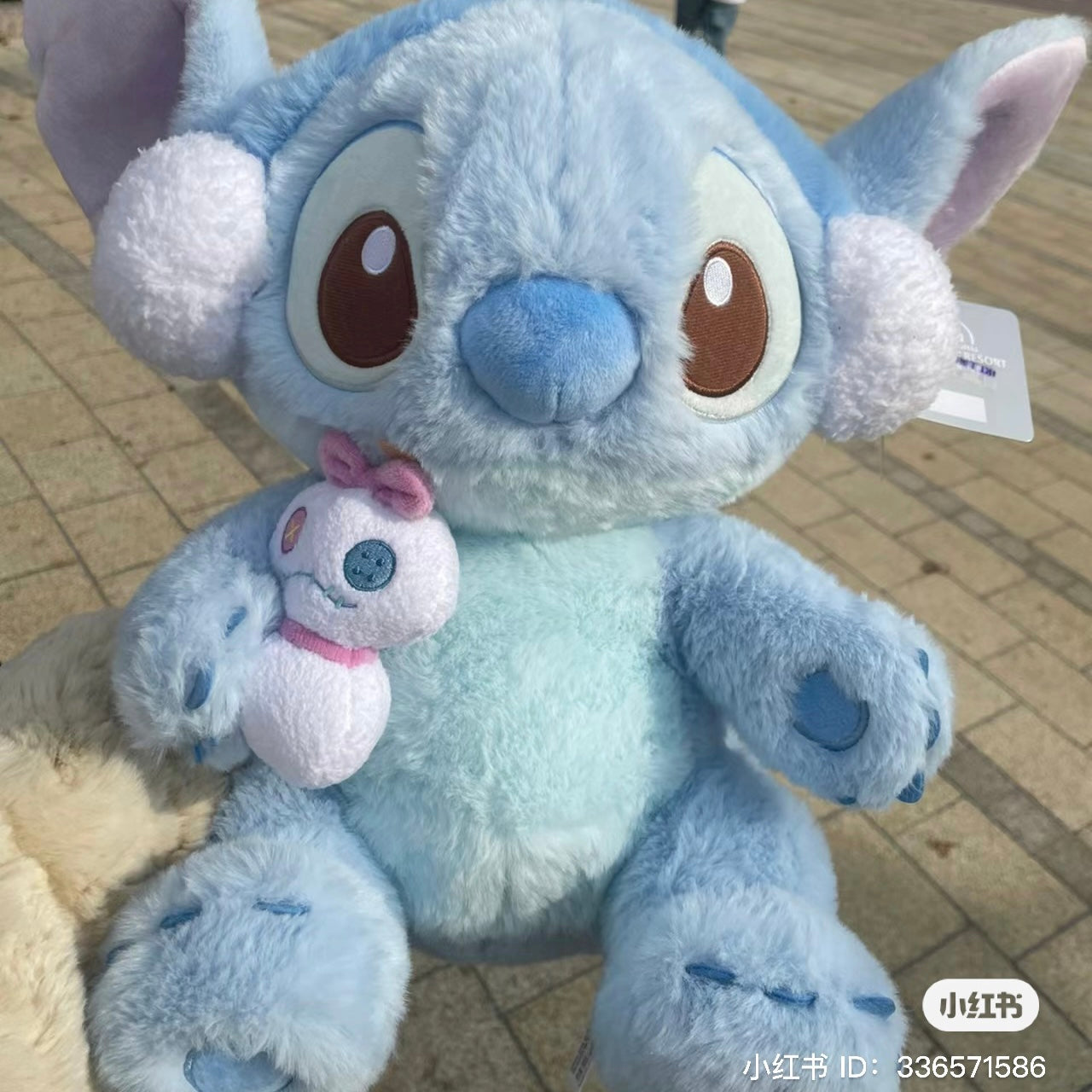 Disney SH|冬日限定史迪仔/史迪奇/stitch抱小金公仔/玩偶