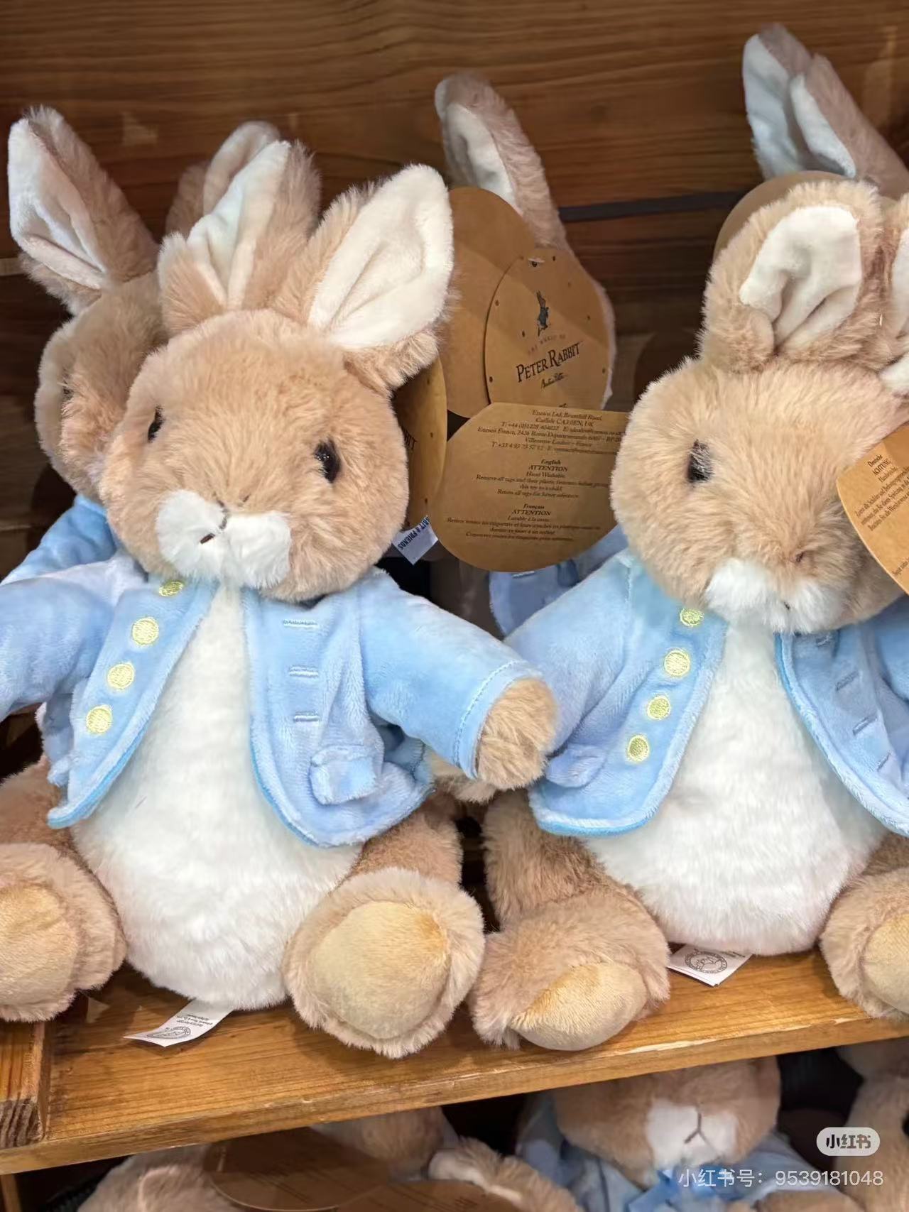 Petter Rabbit|Fluffy Medium Plush Dolls/Plush Toy|M/H22 x W14 x D12cm approx.