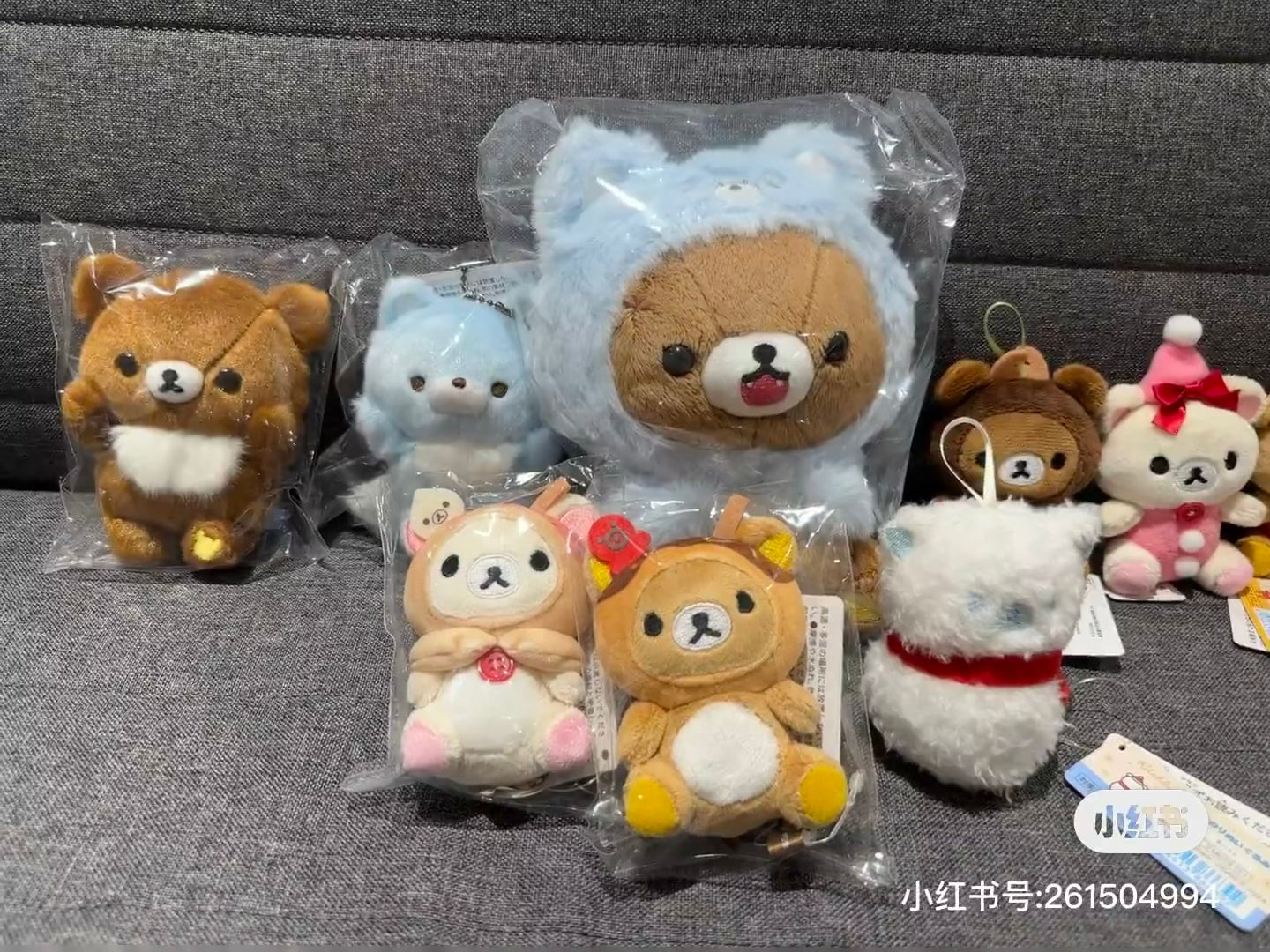 Rilakkuma轻松熊|AoKogu no Otomari - Plush Toy San-X新角色毛绒玩偶/公仔|约180×130×100mm