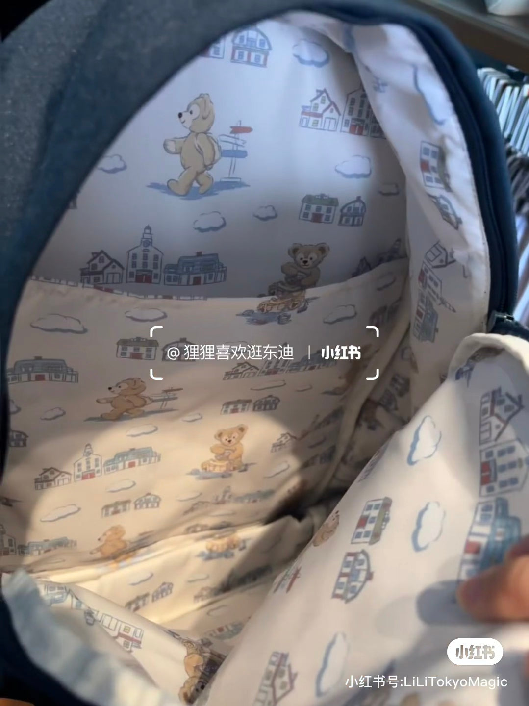 Disney|Duffy one lovely day backpack