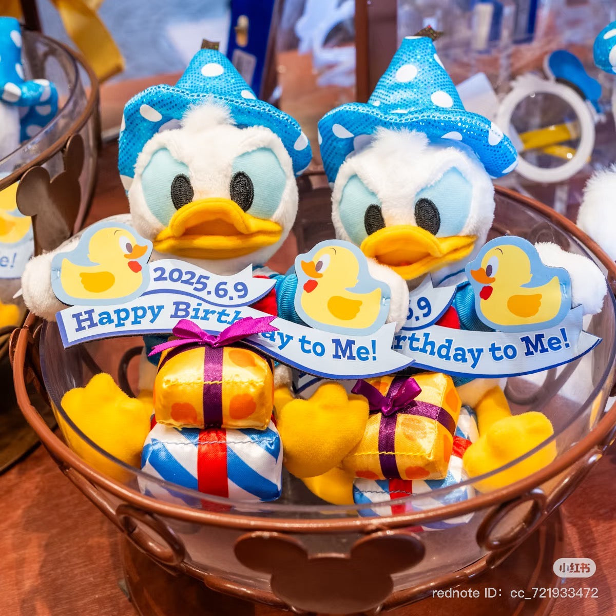 Disney|Tokyo Disneysea Resort donald duck birthday limited plush toy