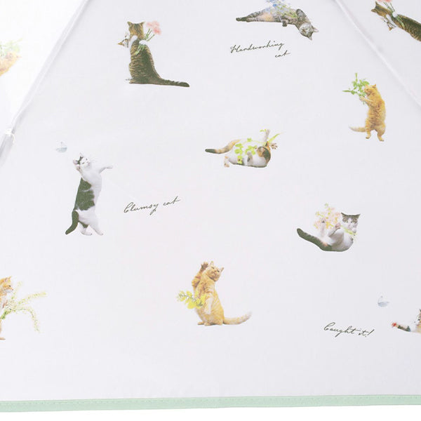 WPC|masayuki oki联名猫猫超轻99%防uv防紫外线遮阳伞/晴雨伞|猫猫头