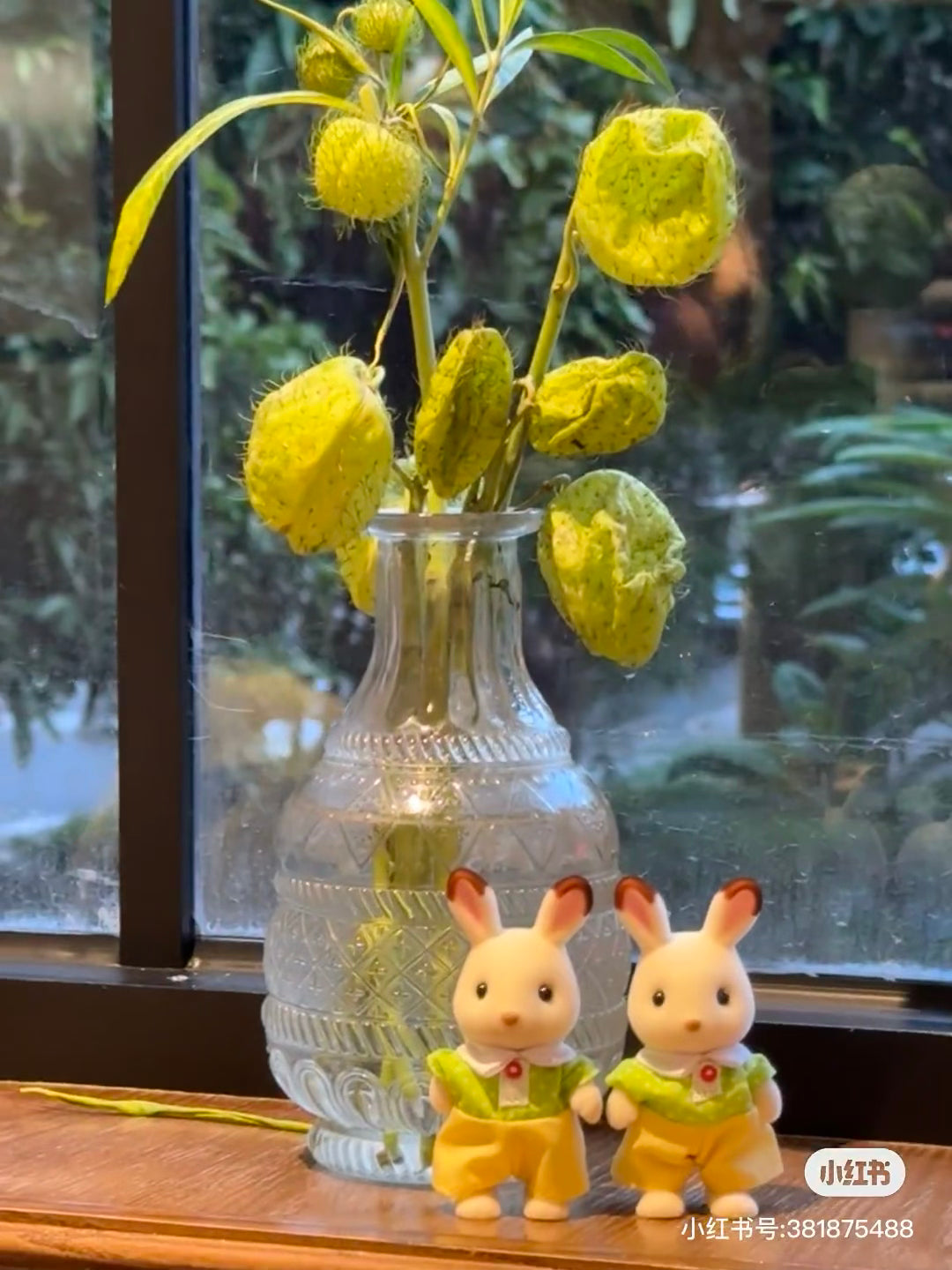 SylvanianFamilies|Chocolat Rabbit Boy