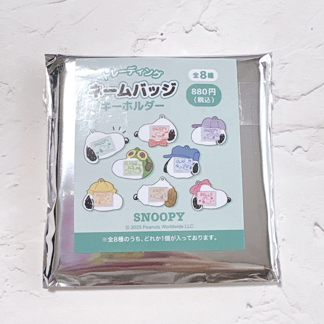 Snoopy|PEANUTS Trading Name Badge Keychain mystery bag/All 8 types|1pcs