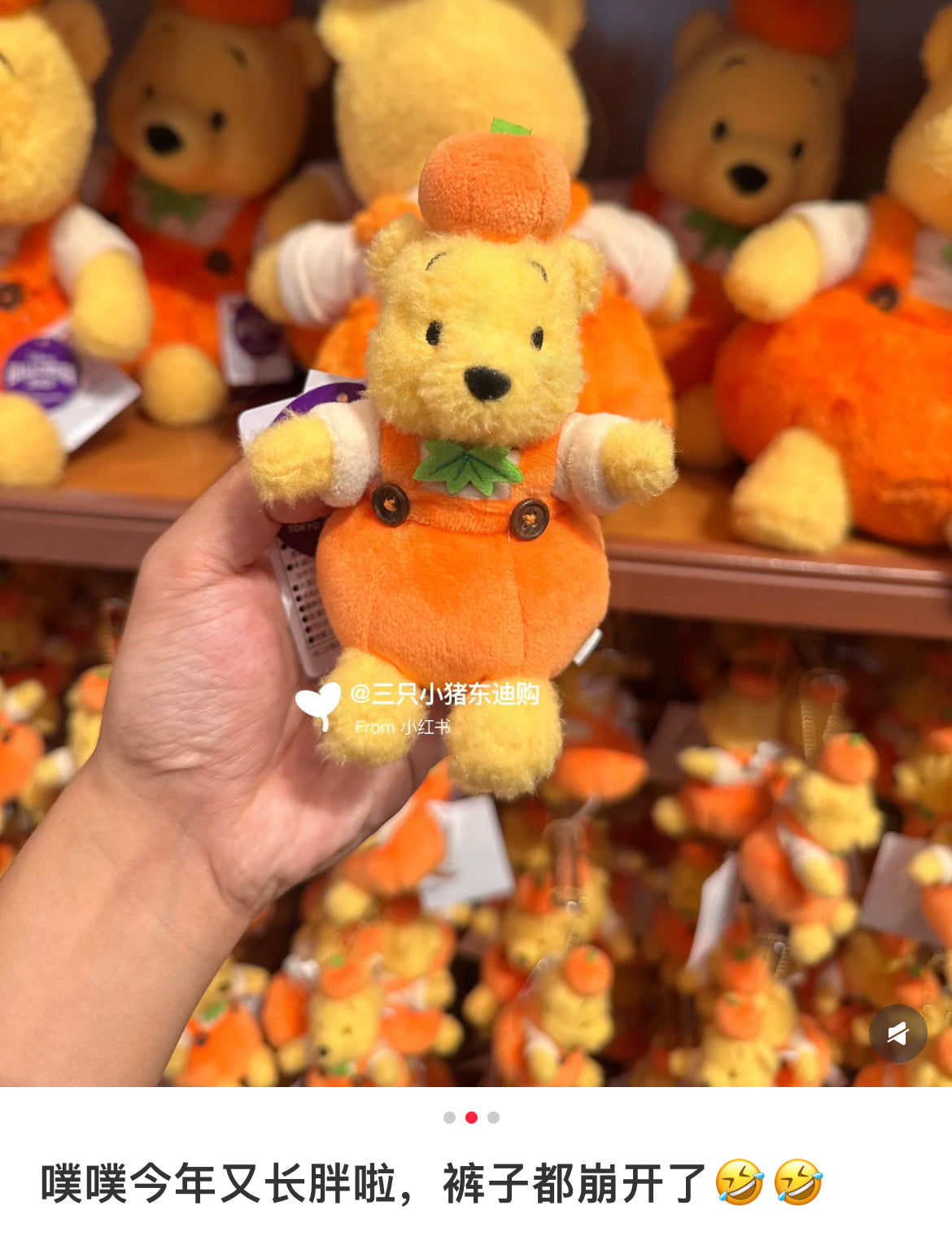Disney|halloween pumpkin Winnie the Pooh Mascot Holder /Plush Keychain