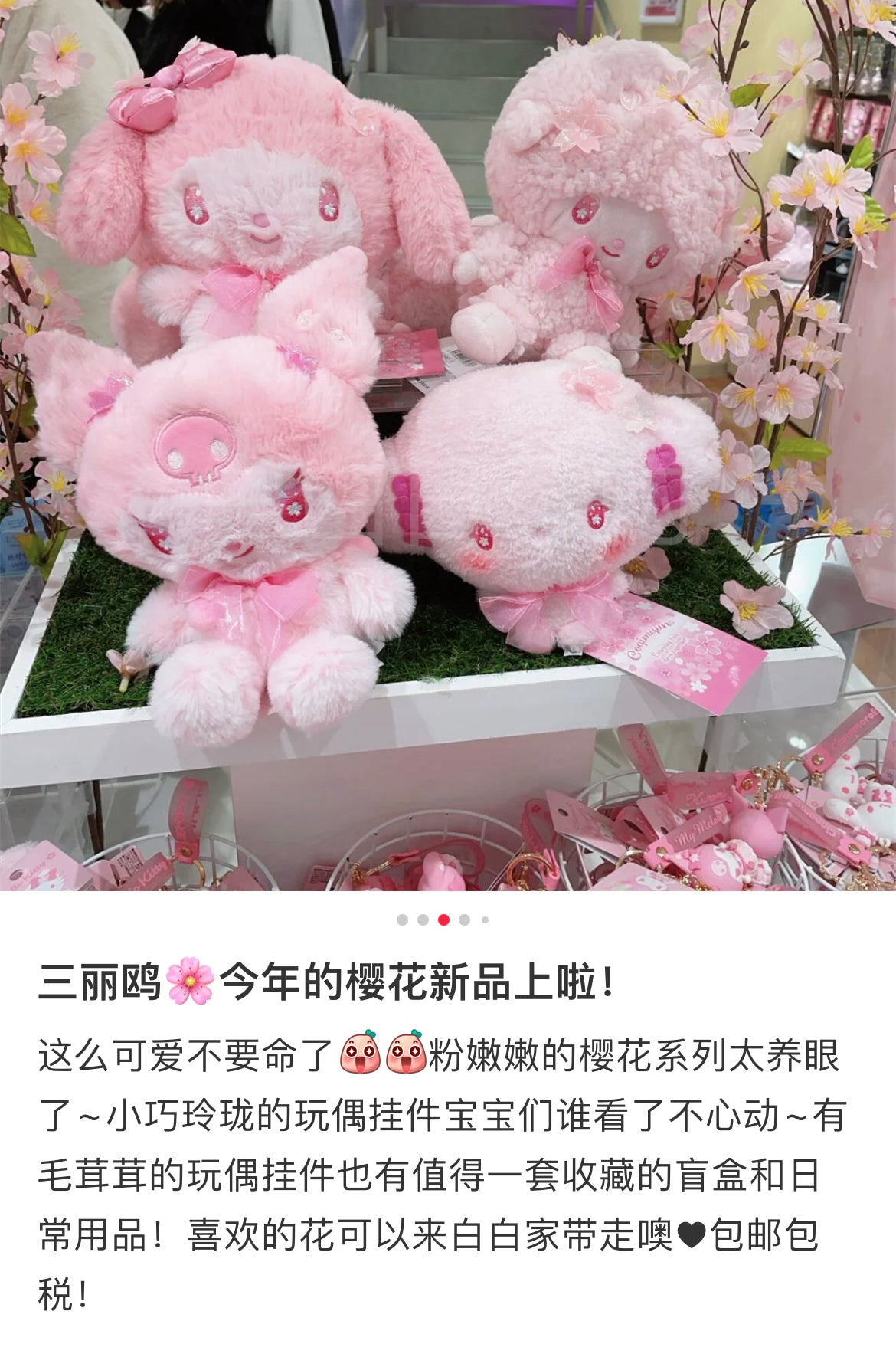 Sanrio|Sakura 2025 Plush Dolls/Plush Toy |23.9 x 17.3 x 9.0cm approx.
