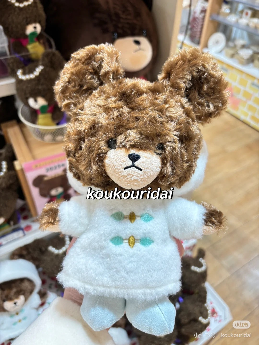 The bear’s school上学熊|Fluffy Hood S Plush Toy冬日围巾大衣毛茸茸玩偶/公仔|约H19 x W16 x D10cm